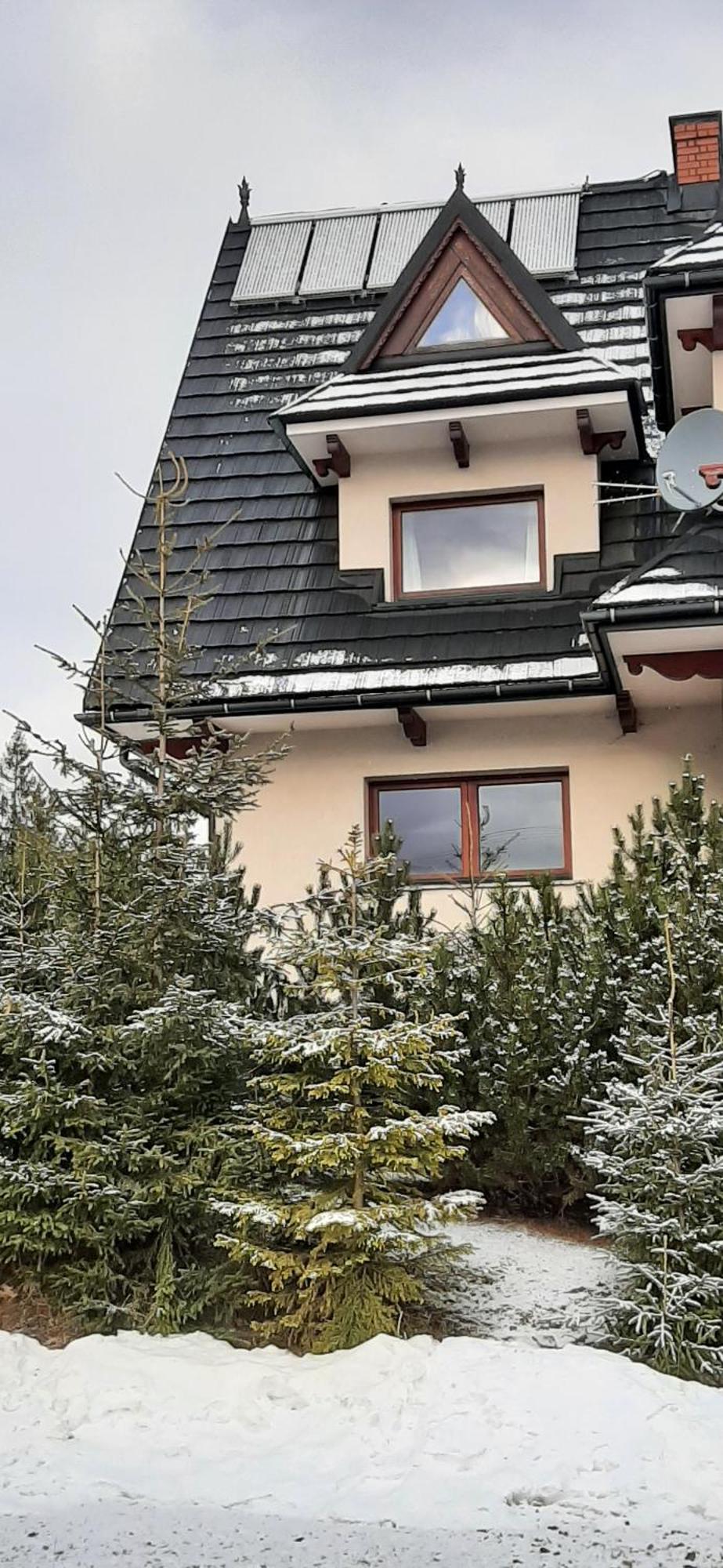 Willa Wygrodzisko Zakopane Kültér fotó