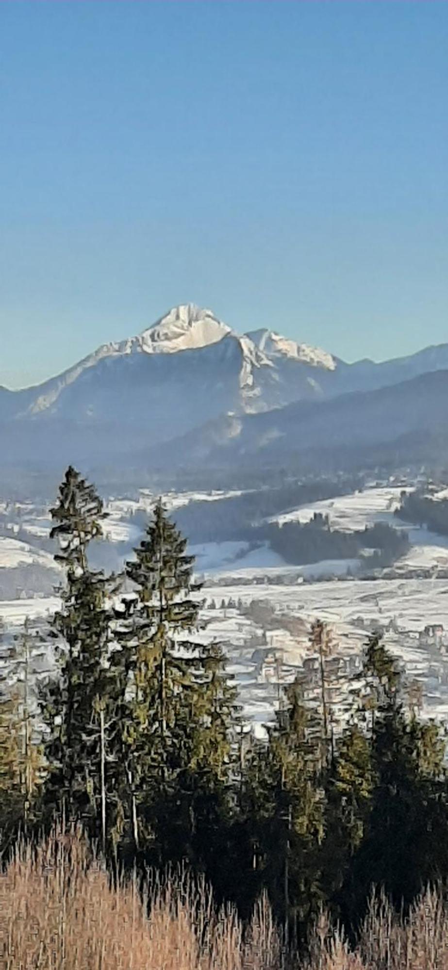 Willa Wygrodzisko Zakopane Kültér fotó