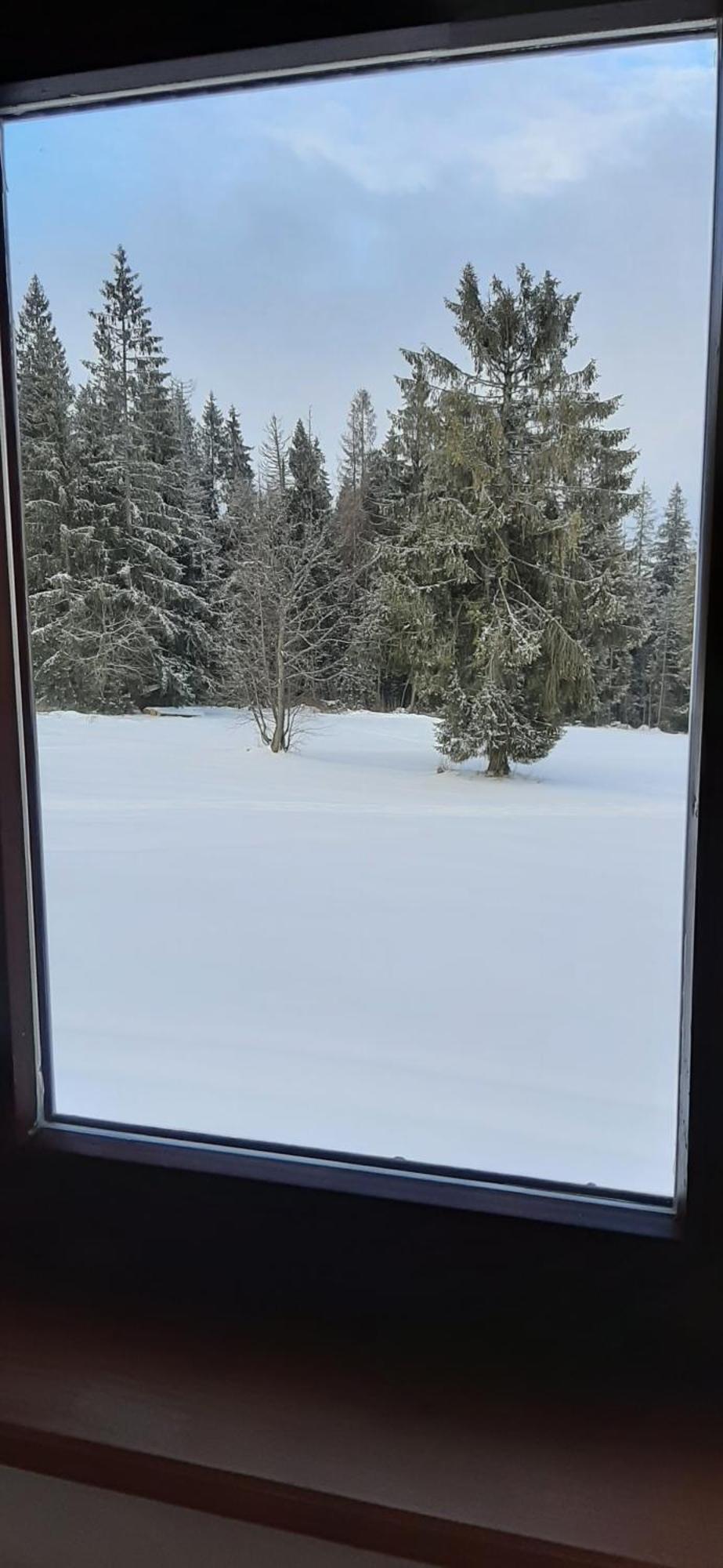 Willa Wygrodzisko Zakopane Kültér fotó