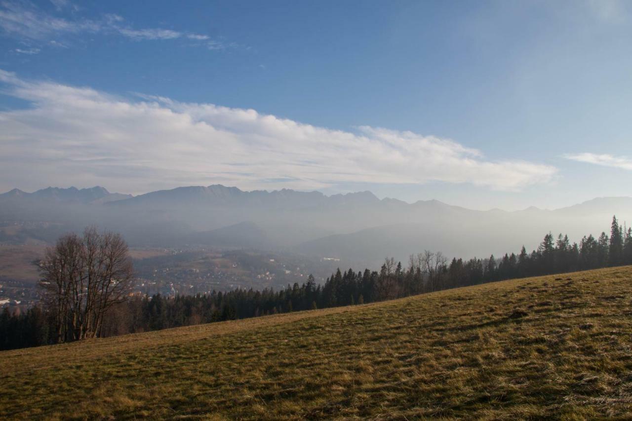 Willa Wygrodzisko Zakopane Kültér fotó
